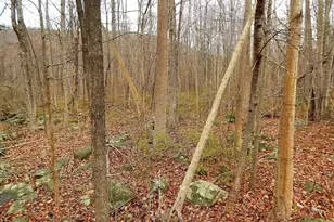 1646 1648 Route 565, Vernon, NJ 07461 - Photo 21