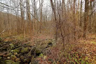 1646 1648 Route 565, Vernon, NJ 07461 - Photo 19