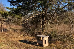 59 Newton Ave, Frankford Township, NJ 07826 - Photo 9