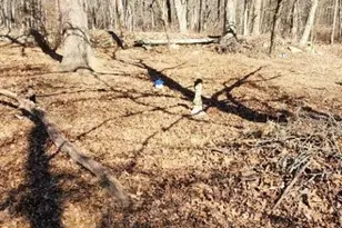 0 Ns Sanatorium Rd, Glen Gardner, NJ 08826 - Photo 1