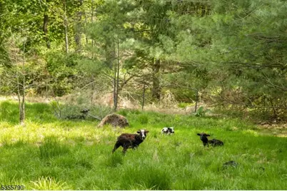 416 Rosemont Ringoes Rd, Delaware Township, NJ 08559 - Photo 9