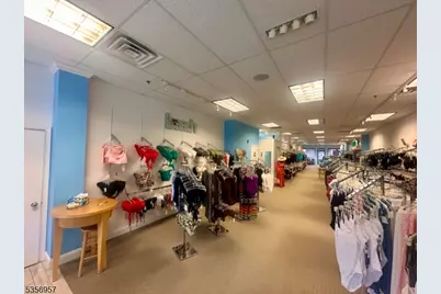 20 E Mount Pleasant Ave, Livingston, NJ 07039 - Photo 5