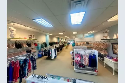 20 E Mount Pleasant Ave, Livingston, NJ 07039 - Photo 7