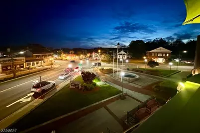 20 E Mount Pleasant Ave, Livingston, NJ 07039 - Photo 19