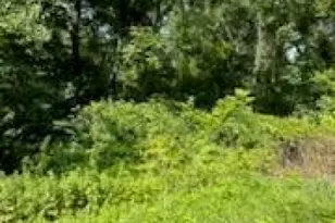 80-84 Route 519, Pohatcong Township, NJ 08865 - Photo 1