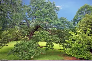 1135 State Route 28, Branchburg Township, NJ 08876 - Photo 47