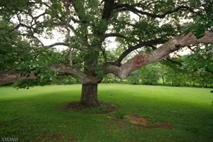 1135 State Route 28, Branchburg Township, NJ 08876 - Photo 45