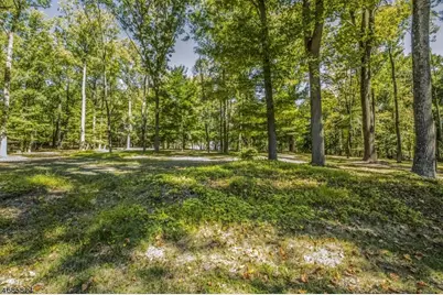 149 Overleigh Rd, Bernardsville, NJ 07924 - Photo 3