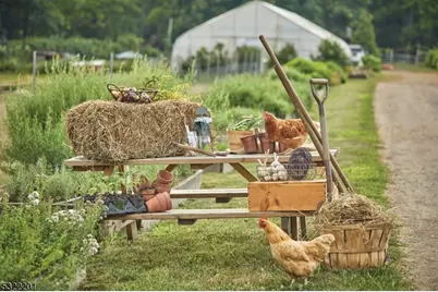 43 Abby Rd, Peapack Gladstone Boro, NJ 07977 - Photo 23