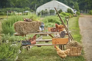 41 Abby Rd, Peapack Gladstone Boro, NJ 07977 - Photo 23