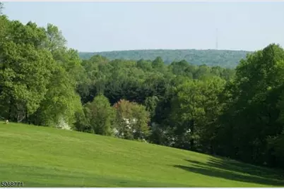 54 Hardscrabble Rd, Mendham Township, NJ 07945 - Photo 5