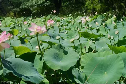 121 Stanton Mountain Road, Clinton Township, NJ 08833 - Photo 49