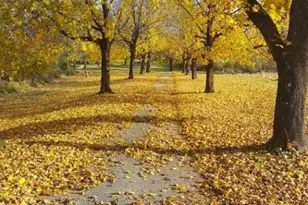 208 Willows Rd, Fredon Township, NJ 07860 - Photo 41