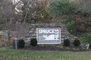 409 Spruce Hills Dr, Glen Gardner, NJ 08826 - Photo 1