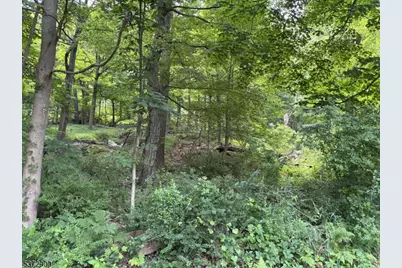 300 Alphano Road, Allamuchy Township, NJ 07840 - Photo 3