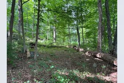 300 Alphano Road, Allamuchy Township, NJ 07840 - Photo 1