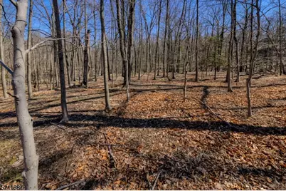 68 Magee Rd, Ringwood, NJ 07456 - Photo 19