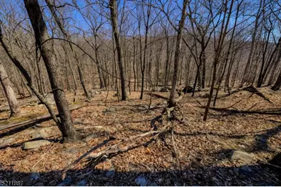 68 Magee Rd, Ringwood, NJ 07456 - Photo 9