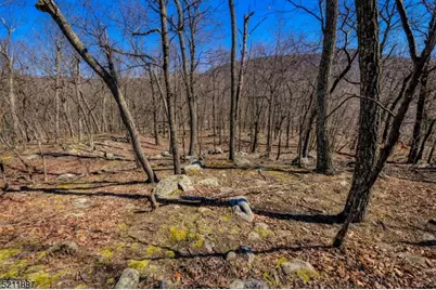 68 Magee Rd, Ringwood, NJ 07456 - Photo 7