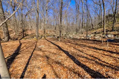 68 Magee Rd, Ringwood, NJ 07456 - Photo 15