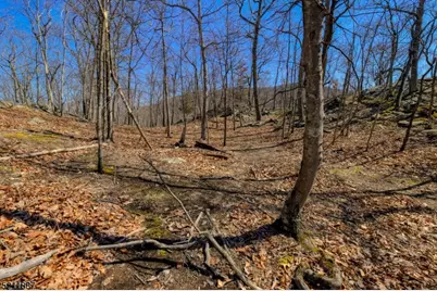 68 Magee Rd, Ringwood, NJ 07456 - Photo 11