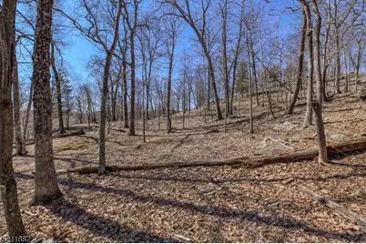 68 Magee Rd, Ringwood, NJ 07456 - Photo 1