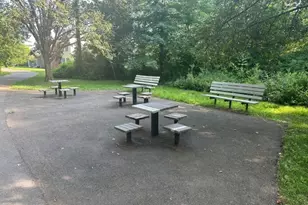 66 Mountain Ct, Bedminster Township, NJ 07921 - Photo 15