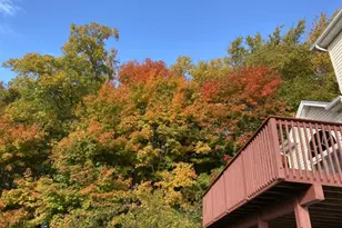 1731 Macopin Rd, West Milford, NJ 07480 - Photo 43