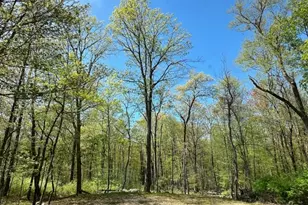 25 E Shore Lake Owassa Rd, Frankford Township, NJ 07860 - Photo 19