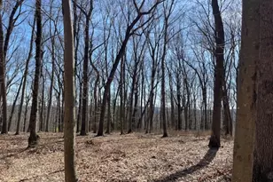 5 Calais Rd, Mendham Township, NJ 07945 - Photo 9