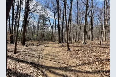 5 Calais Rd, Mendham Township, NJ 07945 - Photo 11