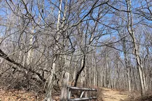 5 Calais Rd, Mendham Township, NJ 07945 - Photo 7