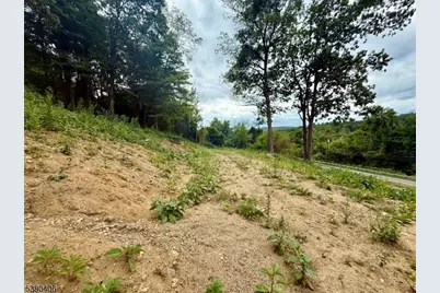 113 Munsonhurst Rd, Franklin, NJ 07416 - Photo 15