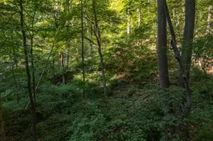 00 Sweet Hollow Rd, Holland Township, NJ 08848 - Photo 1