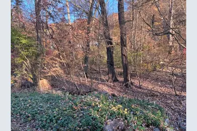 9 Old Woodland Trl, Jefferson Township, NJ 07438 - Photo 11