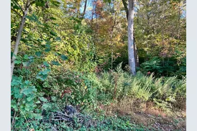 9 Old Woodland Trl, Jefferson Township, NJ 07438 - Photo 5