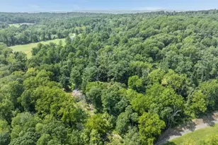 12 Dove Hollow Ln, Bethlehem Township, NJ 08827 - Photo 7