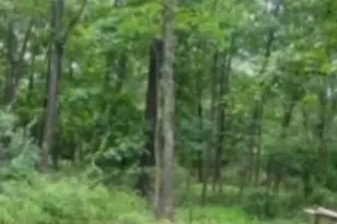 00 University Ln, Wantage, NJ 07461 - Photo 1