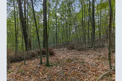 0 Stonehedge Way, West Milford, NJ 07480 - Photo 7