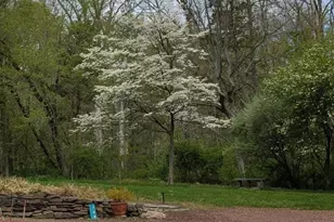168 Locktown Sergeantsville, Delaware Township, NJ 08559 - Photo 5