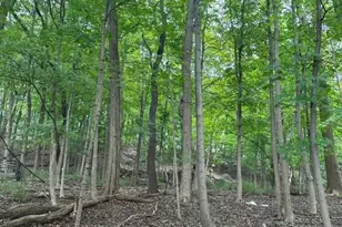 86 Chestnut St, Morristown, NJ 07960 - Photo 3