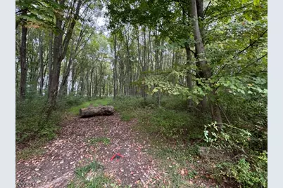 000 S 4Bridges Rd, Washington Township, NJ 07930 - Photo 3