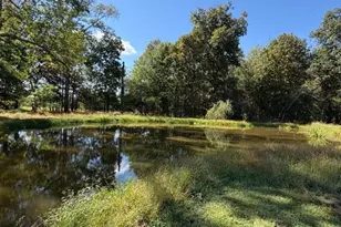 15 Opdyke Rd, Kingwood Township, NJ 08825 - Photo 13