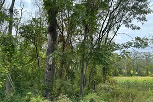 393 Mountain Lake Rd, Liberty Township, NJ 07838 - Photo 1