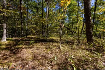 7 Bridge Rd, Vernon, NJ 07422 - Photo 7