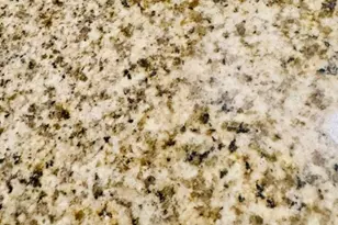 1806 One Spring St, New Brunswick, NJ 08901 - Photo 25