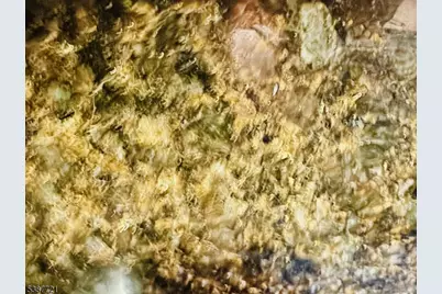 1806 One Spring St #1806, New Brunswick, NJ 08901 - Photo 9