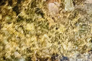 1806 One Spring St, New Brunswick, NJ 08901 - Photo 9