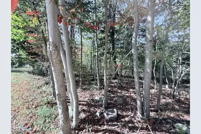 42 Gaisler Rd, Blairstown Township, NJ 07825 - Photo 7