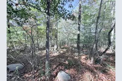 42 Gaisler Rd, Blairstown Township, NJ 07825 - Photo 3